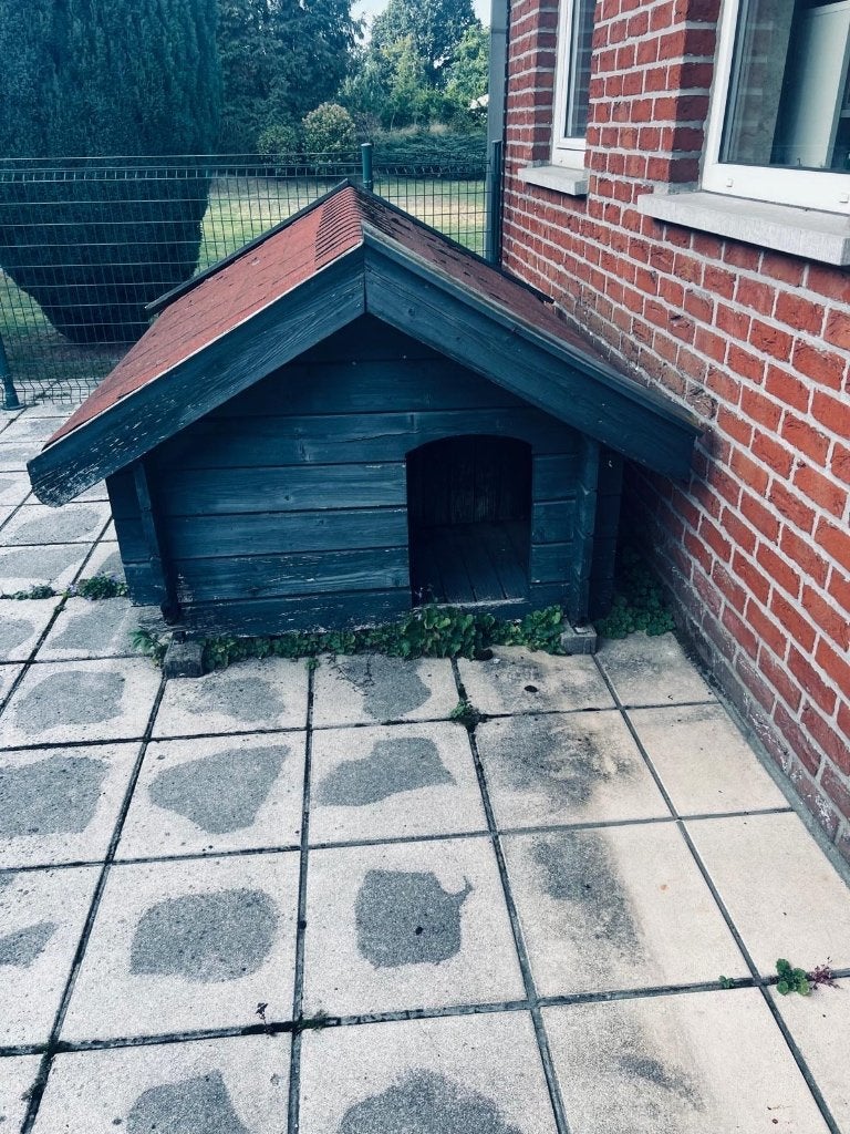 Hondenhok, Dieren en Toebehoren, Ophalen, Gebruikt, Hondenhok