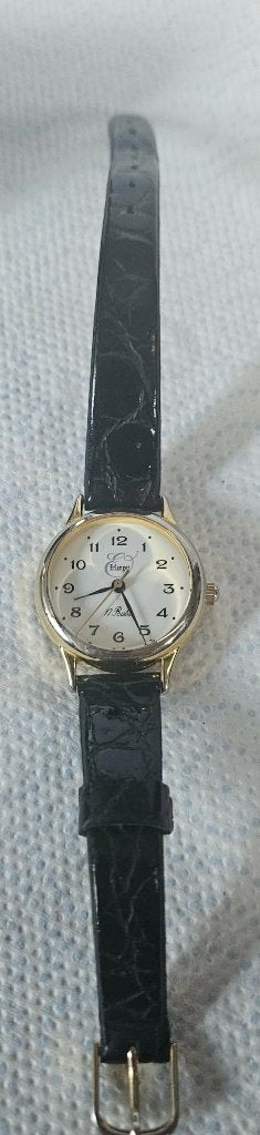 Montre Erlanger Femme 17 Rubis Mécanique Vintage (MW106), Enlèvement ou Envoi