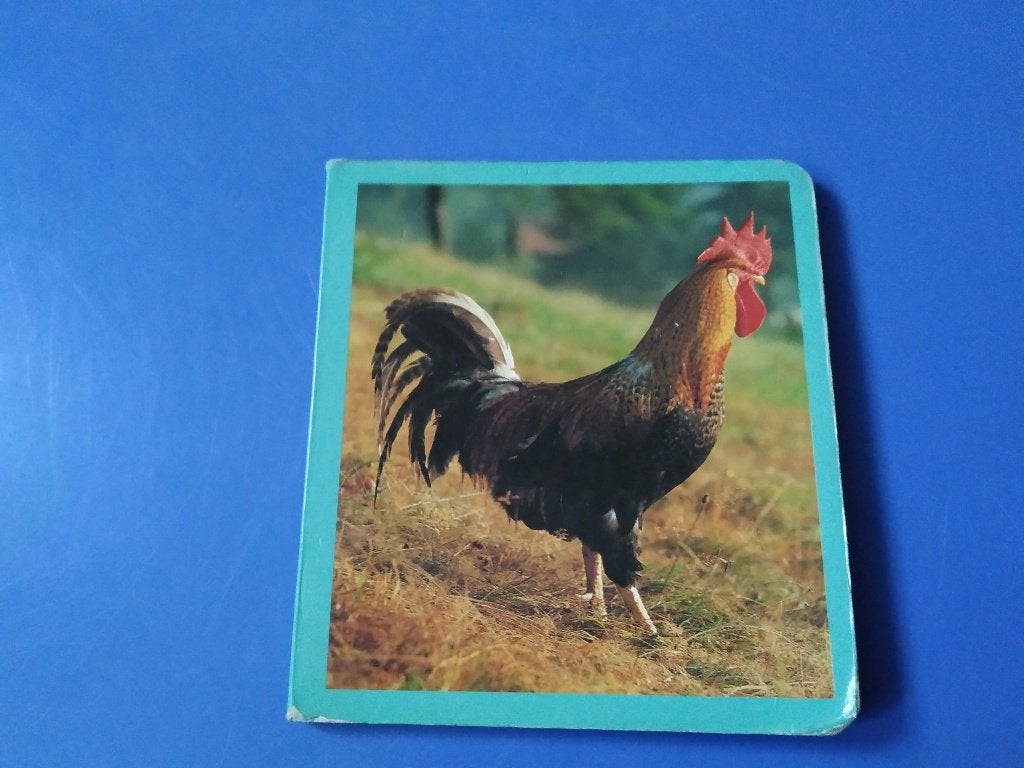 baby kijkboekjes leerrijk en interessant voor de baby/peuter, Enlèvement ou Envoi