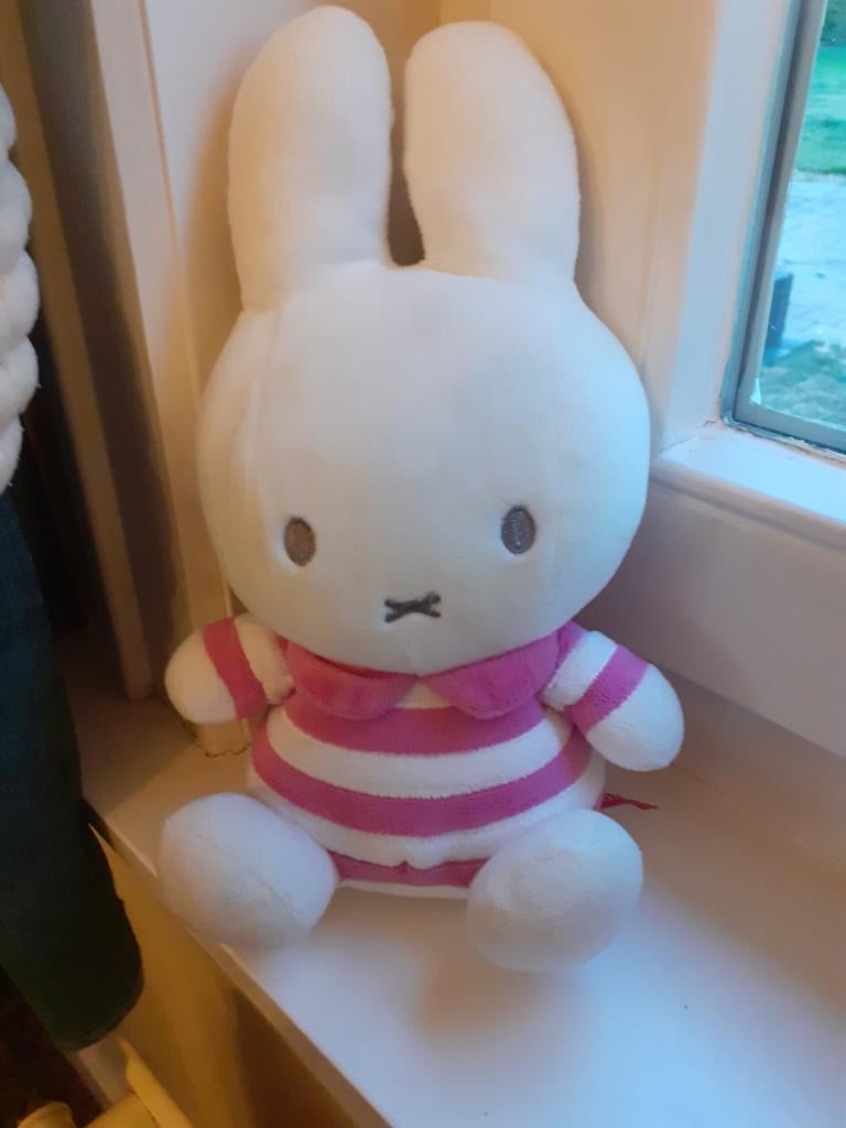 Nijntje van Dick Bruna, Ophalen of Verzenden