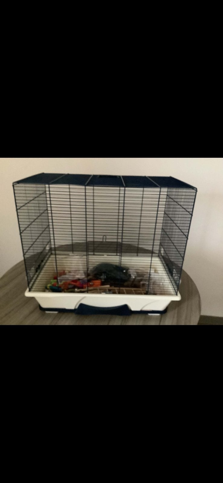 Nieuwe kooi voor parkieten of kanaries met heel veel bij, Dieren en Toebehoren, Ophalen, Zo goed als nieuw, Aluminium, Vogelkooi