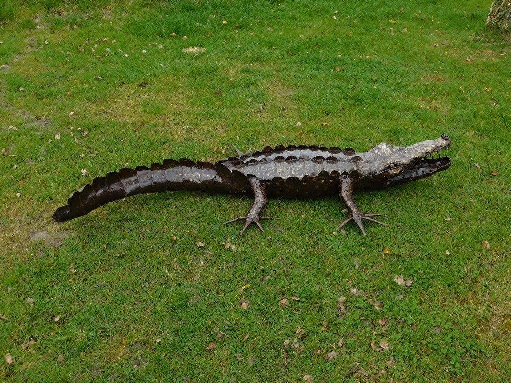 Crocodile XL - 220 cm - Unique et fabriqué à la main, Sculpture, Enlèvement ou Envoi, Fait main, Brun