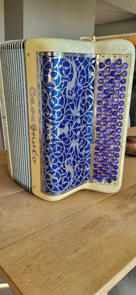 Accordeon, Musique & Instruments, Enlèvement, Utilisé
