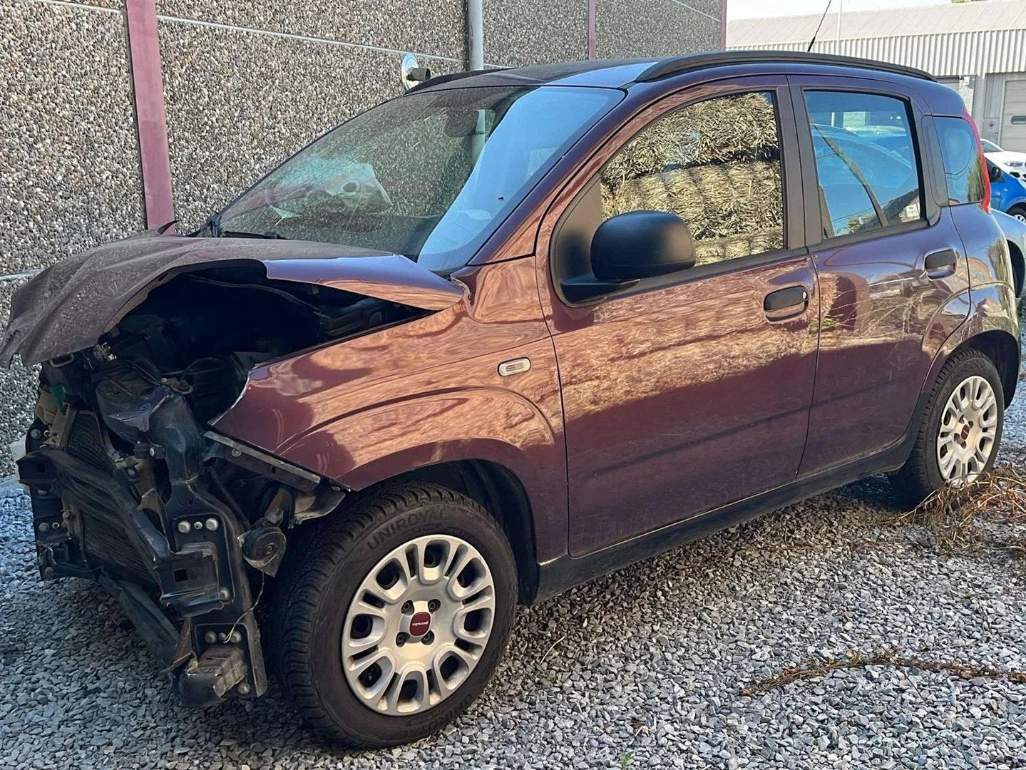 Fiat Panda Panda 1.2i Street, 1242 cm³, Boîte manuelle, Autres couleurs, Berline
