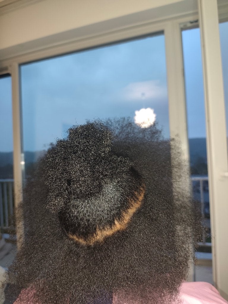 ponytail,chignong,lissages, tresses , tissages, Diensten en Vakmensen, Komt aan huis, Dreadlocks of Vlechten