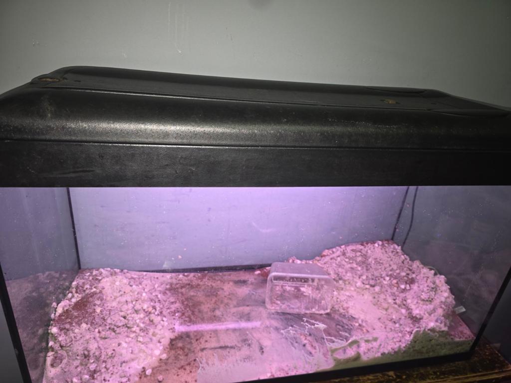 Aquariums 3x, Chauffage, Aquarium vide, Enlèvement, Utilisé