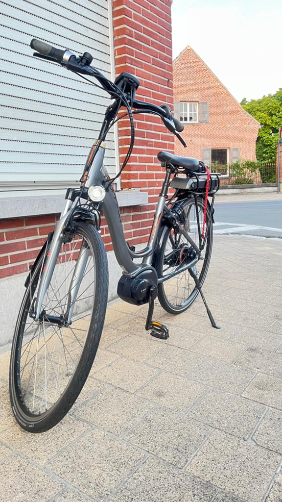 Elektrische fiets Thompson, Fietsen en Brommers, Ophalen, Zo goed als nieuw