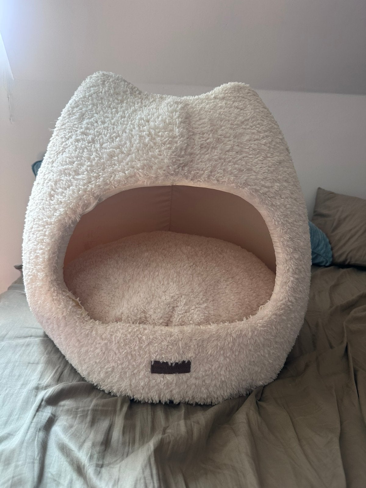Panier pour chat et petit chien, Animaux & Accessoires, Paniers pour chats, Enlèvement ou Envoi, Comme neuf