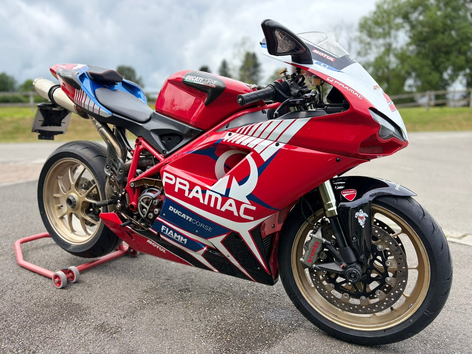 Ducati 1098/desmo ok/pink leaf/ok riemen