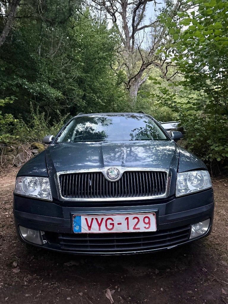 Skoda Octavia Break 1.9 TDI Diesel 2006 -A remettre en route, Autos, Skoda, Particulier, Octavia, ABS, Airbags, Air conditionné