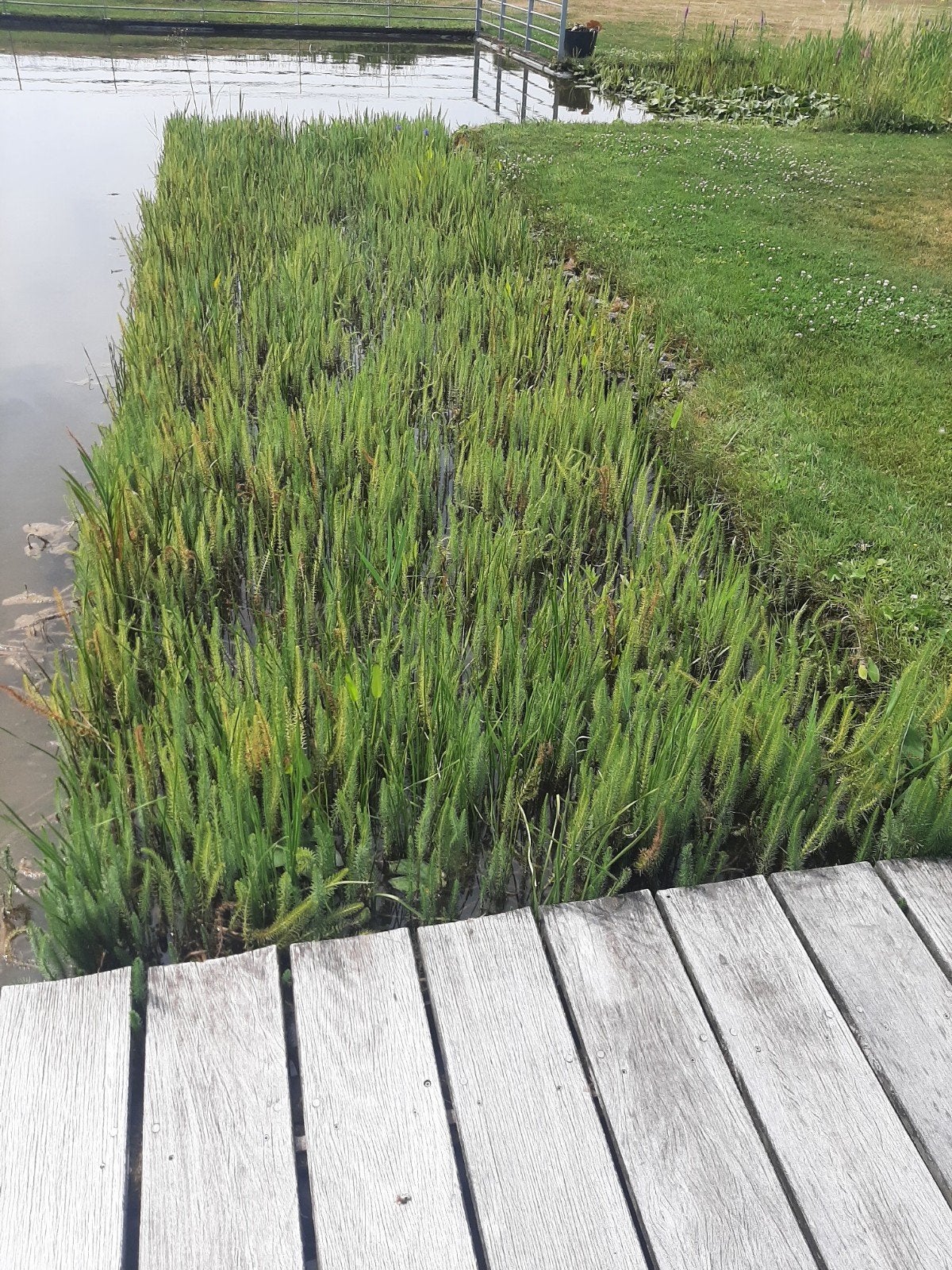 ledsteng 87, Tuin en Terras, Ophalen
