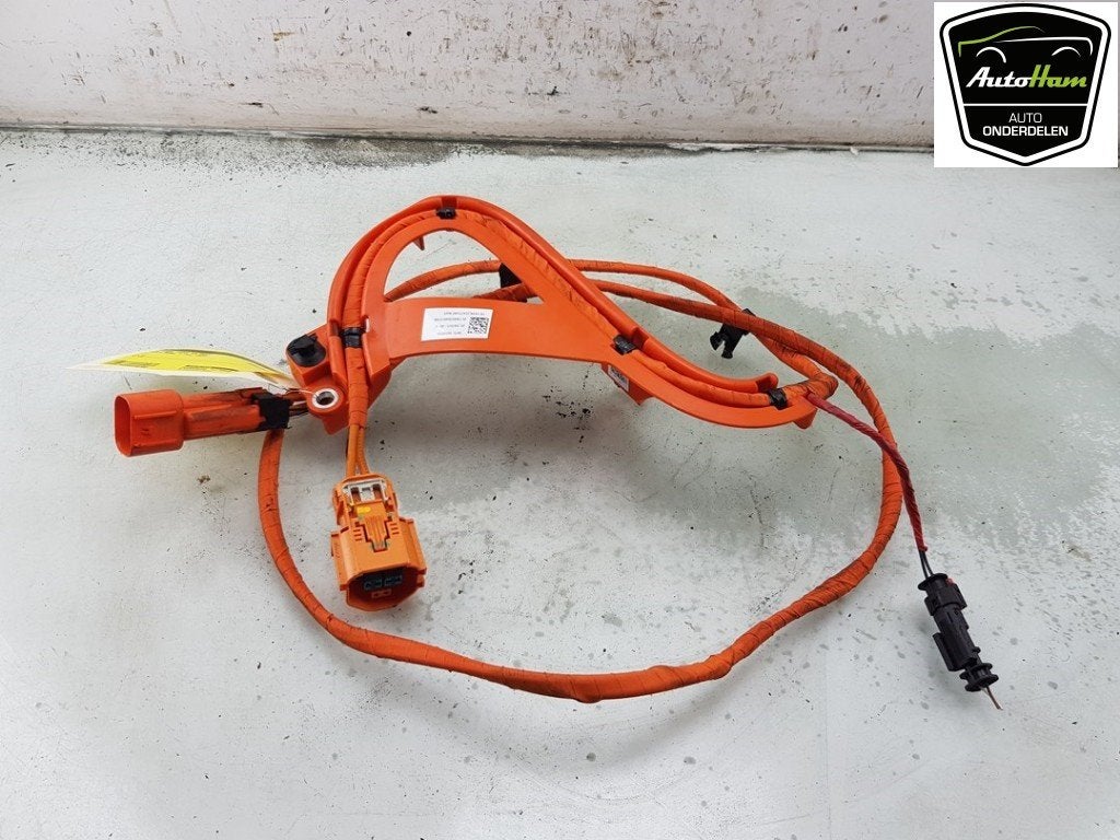 CÂBLE HT (HAUTE TENSION) Tesla Model Y (5YJY), Dhr. J. Ham, Administratie@autoham.nl, Utilisé, Autres marques automobiles