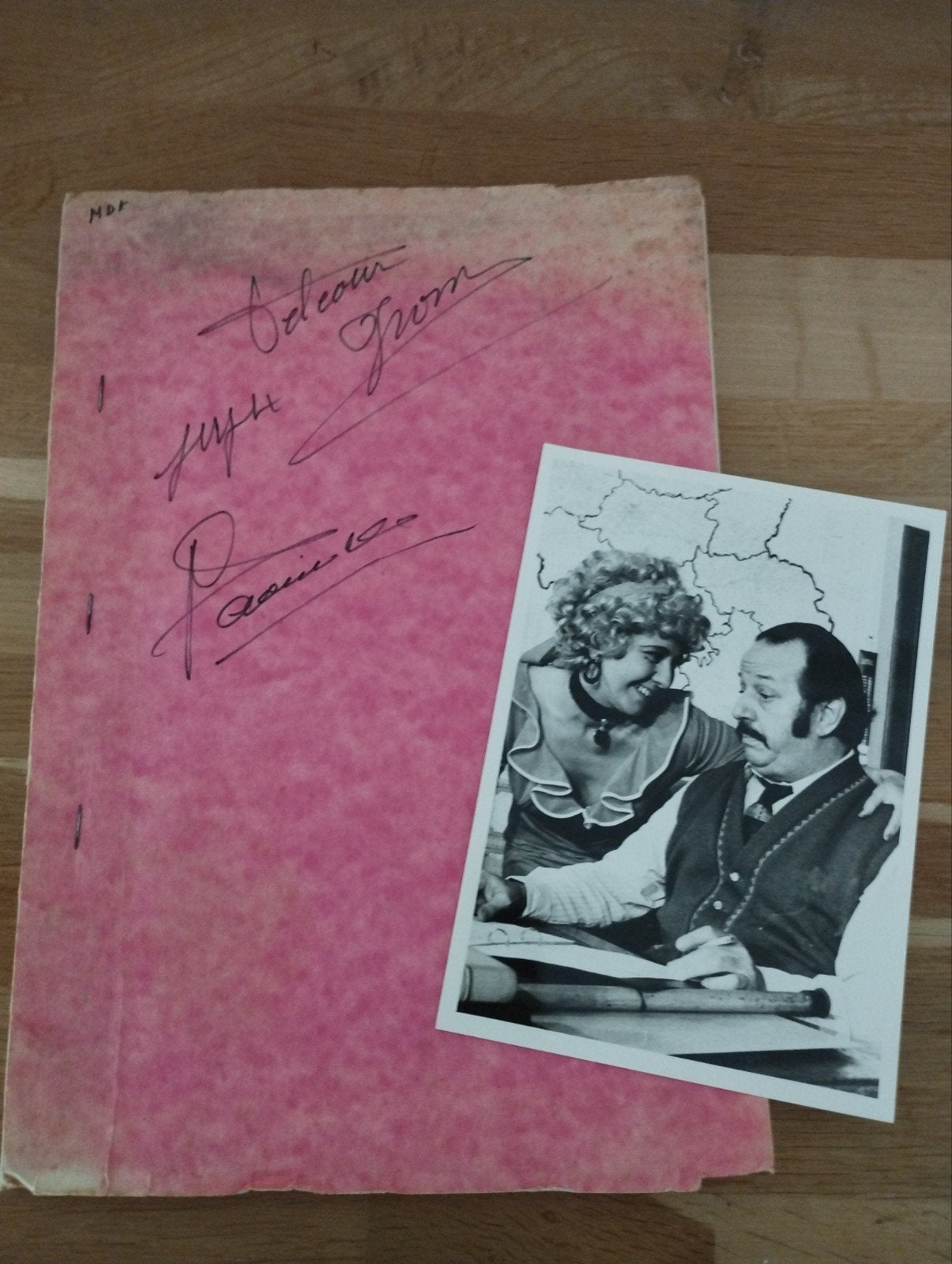 Manuscript Leo Martin en Romain Deconinck, Ophalen of Verzenden, Mary brouillard