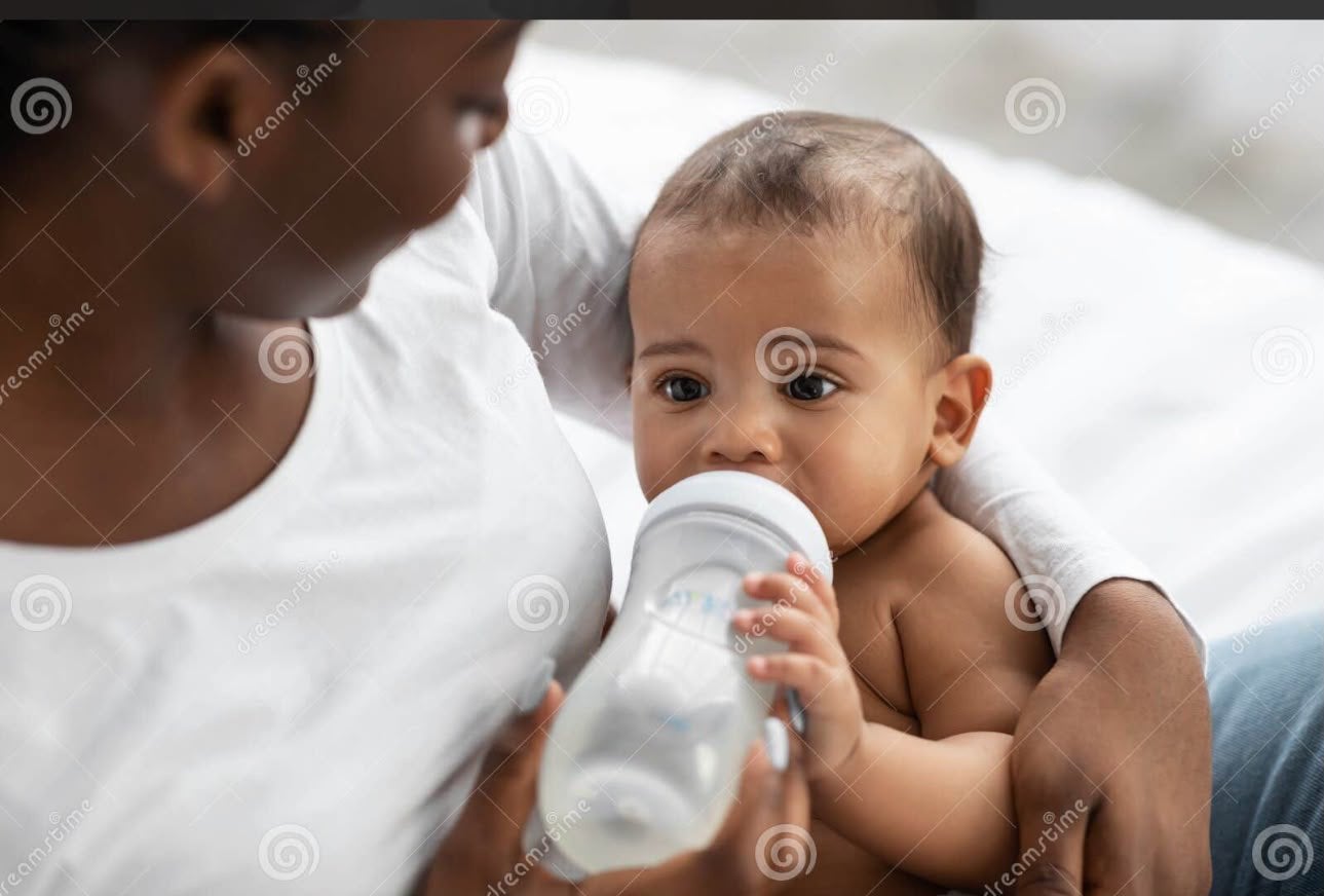 Baby-sitter, Animaux & Accessoires, Enlèvement ou Envoi, Comme neuf, S
