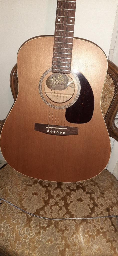 Zeemeeuw S6 + Ceder, Muziek en Instrumenten, Ophalen of Verzenden, Gebruikt, Western- of Steelstringgitaar