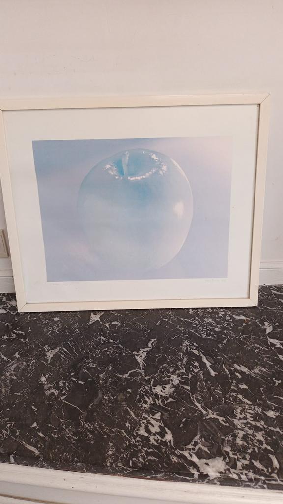 Zeefdrukken Hans Simons, Antiek en Kunst, Kunst | Litho's en Zeefdrukken, Ophalen
