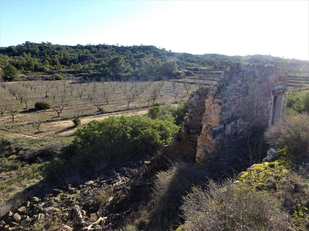 Finca in Fabara (Aragón, Spanje) - 1045, Immo, Overige soorten, Spanje, Landelijk