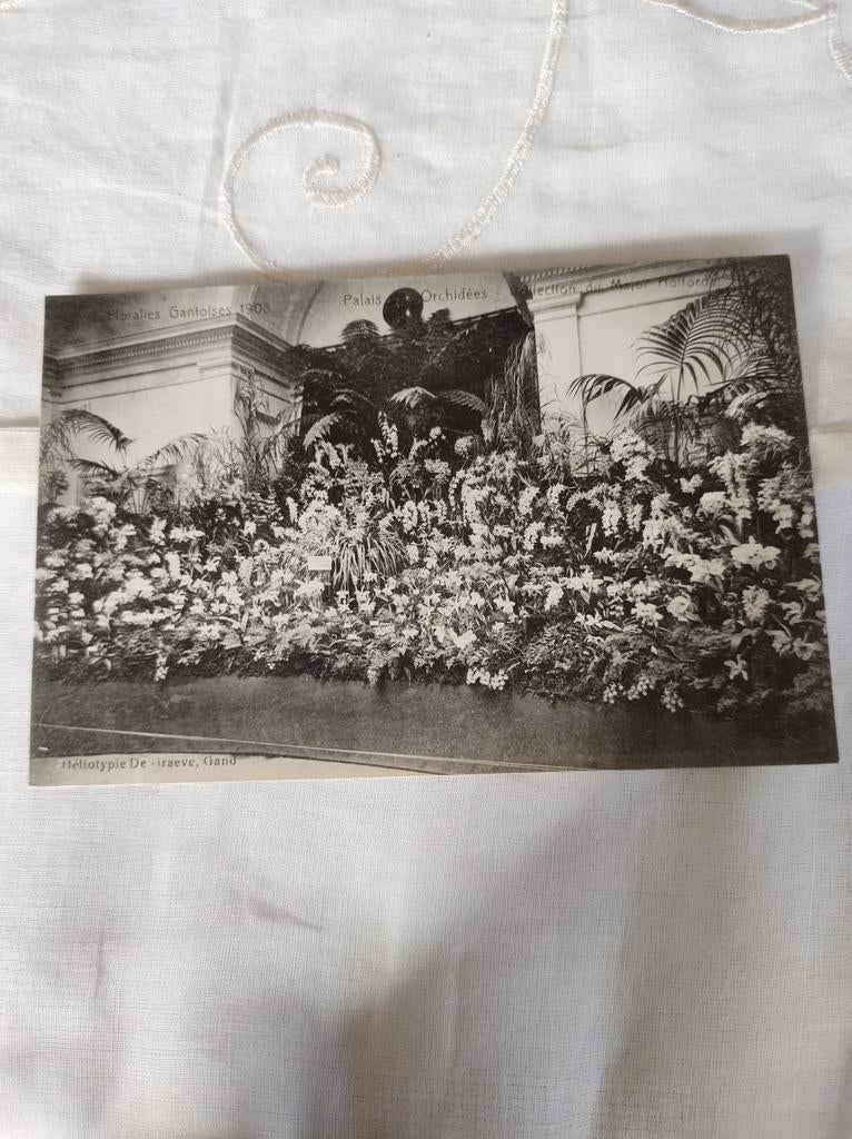 Floralies Gantoise 1908, Ophalen of Verzenden