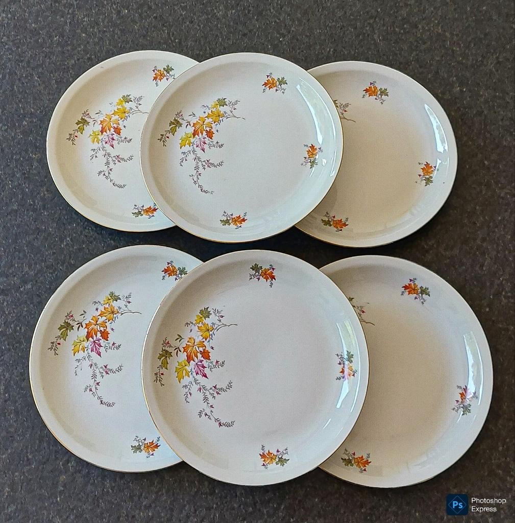 6 dessertborden Colditz Porzellan, Ophalen of Verzenden