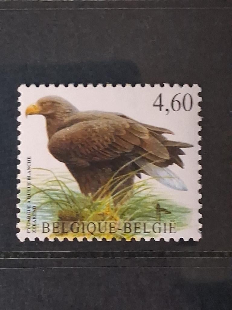 België OBP 3871 postfris jaar 2009, Ophalen of Verzenden, Postfris