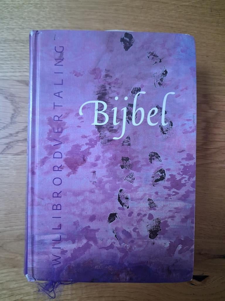 Schoolbijbel Willibrordvertaling 2012, Boeken, Ophalen of Verzenden