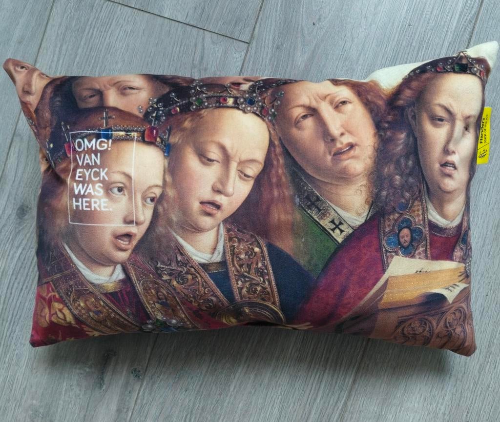 OMG Van Eyck l'embrassait, Collections, Aviation, Enlèvement ou Envoi, Utilisé