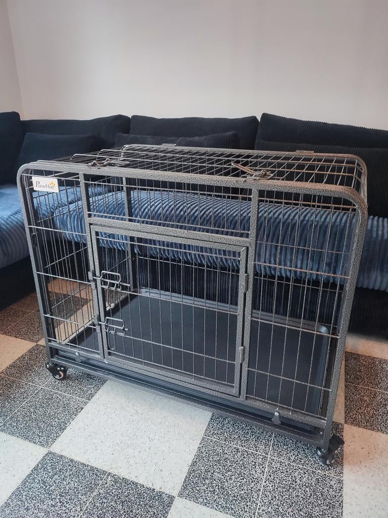 Cage pour petit chien, Enlèvement