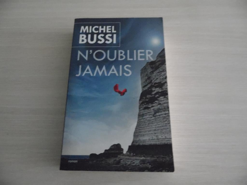 N'OUBLIER JAMAIS          MICHEL BUSSI, Boeken, Romans, Zo goed als nieuw, Europa overig, Ophalen of Verzenden