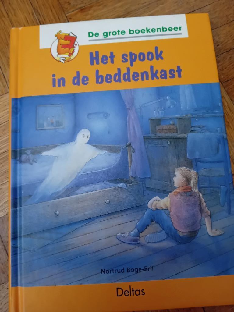Boek het spook in de beddenkast, Ophalen of Verzenden