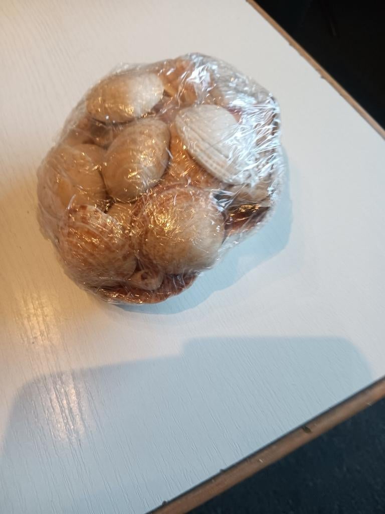Grote schelp met mooie schelpen, Verzamelen, Ophalen of Verzenden, Gebruikt