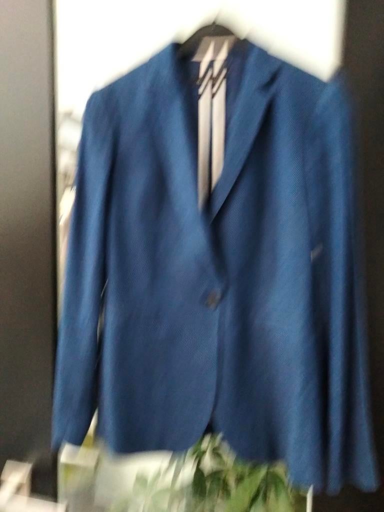 blaser.merk Massimo Dutti.maat 38, Ophalen of Verzenden, Zo goed als nieuw, Maat 38/40 (M), Blauw