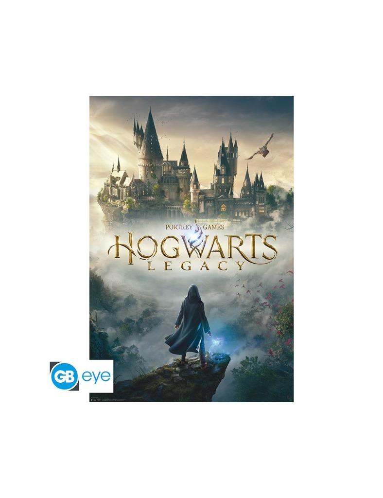 Harry Potter - Poster Maxi (91.5x61cm) - Hogwarts Legacy Key, Verzenden, Deurposter of groter, Vierkant, Nieuw