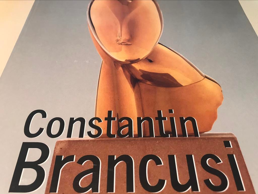 Sculptures de Constantin Brancusi 230 pages, Enlèvement ou Envoi, Comme neuf, Sculpture