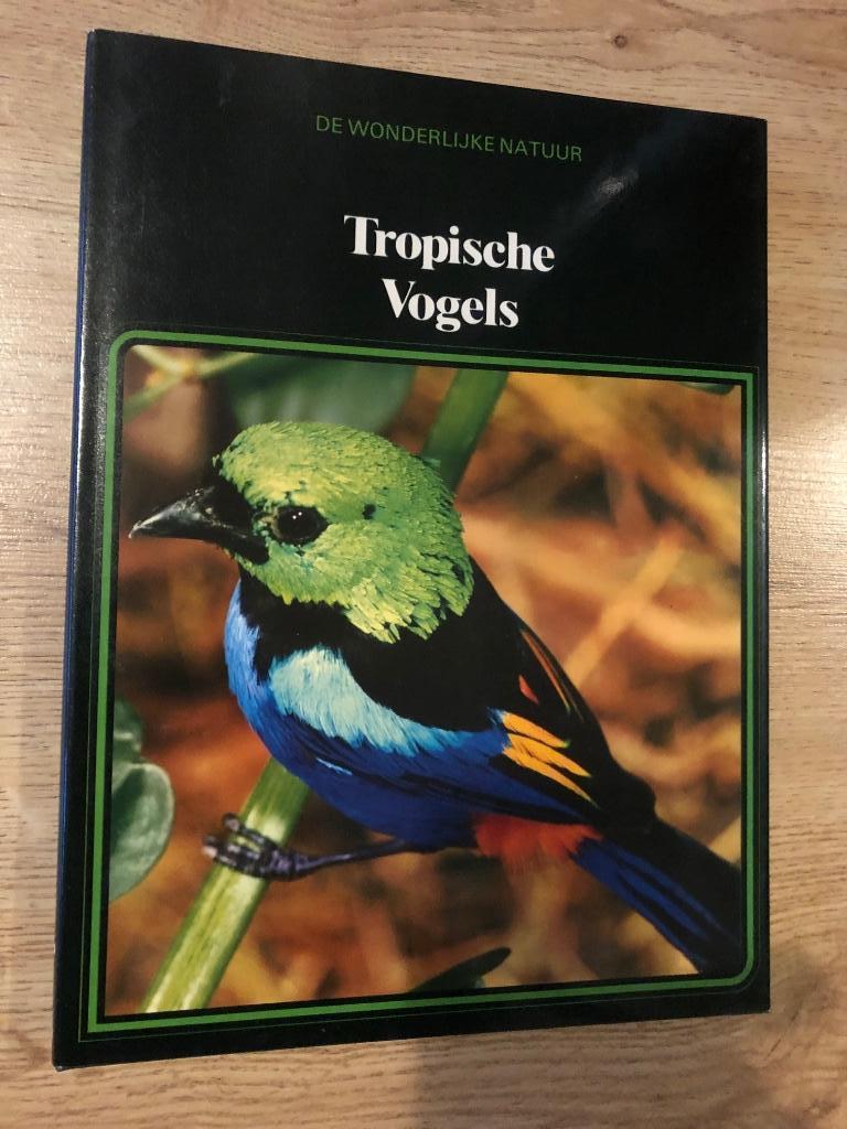 Lekturama de wonderlijke natuur : tropische vogels, Boeken, Natuur, Gelezen, Vogels, Ophalen of Verzenden