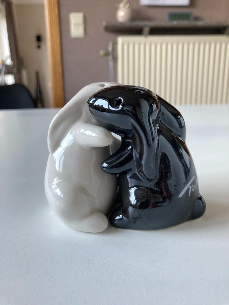 Peper en zoutvat Konijntjes, Ophalen of Verzenden, Nieuw, Overige soorten, Beeldje of Figuurtje