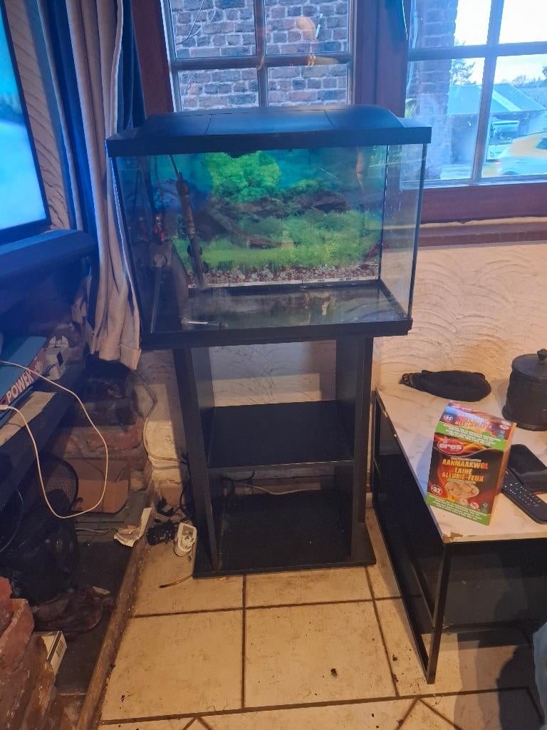 Aquarium 60 littre + meuble, Ophalen, Zo goed als nieuw, Gevuld zoetwateraquarium