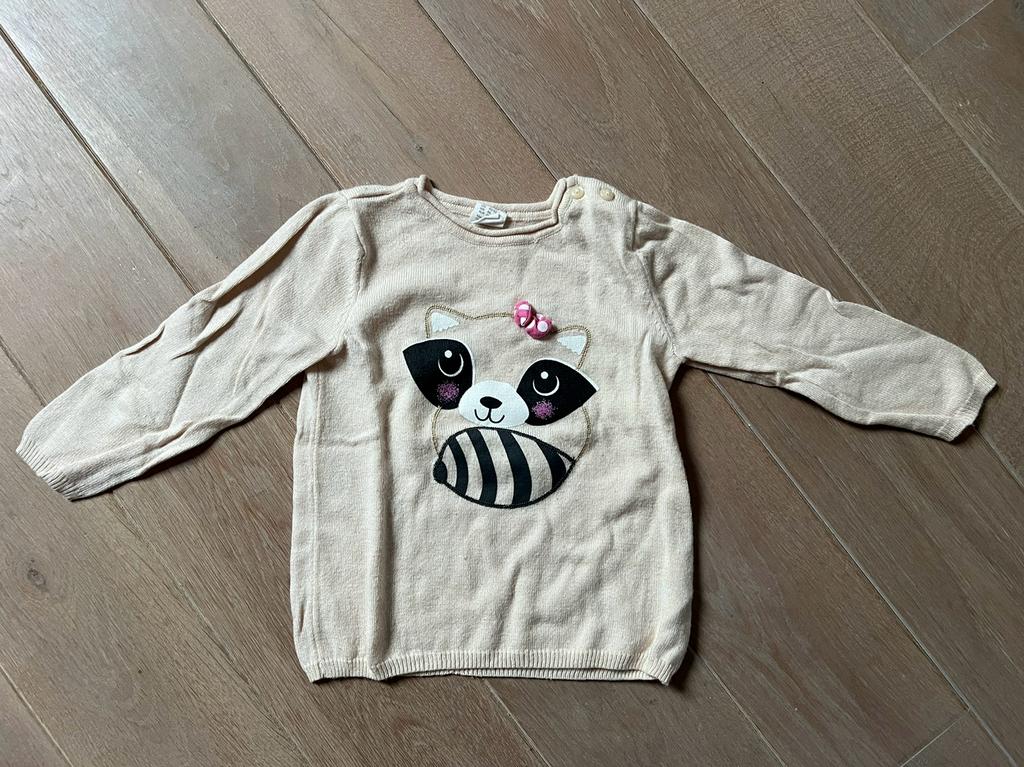 Trui / pull maat 86 van H&M, Gebruikt, H&M, Ophalen of Verzenden, Truitje of Vestje