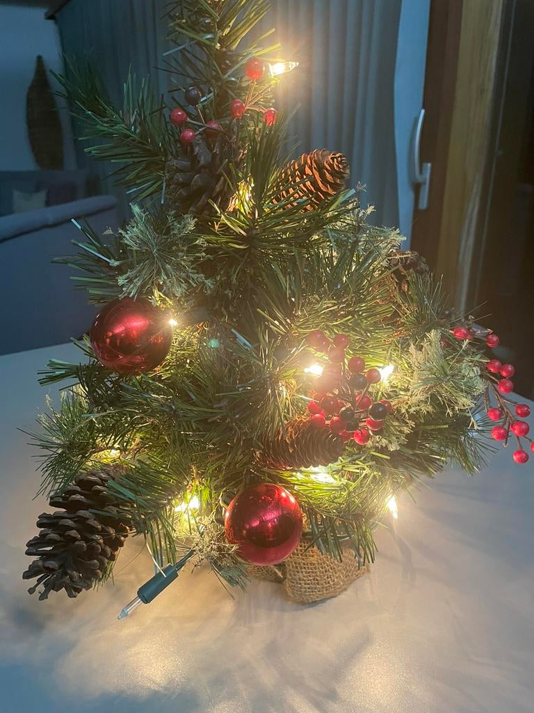 3 sapins de Noël décorés et illuminés, Divers, Enlèvement, Utilisé