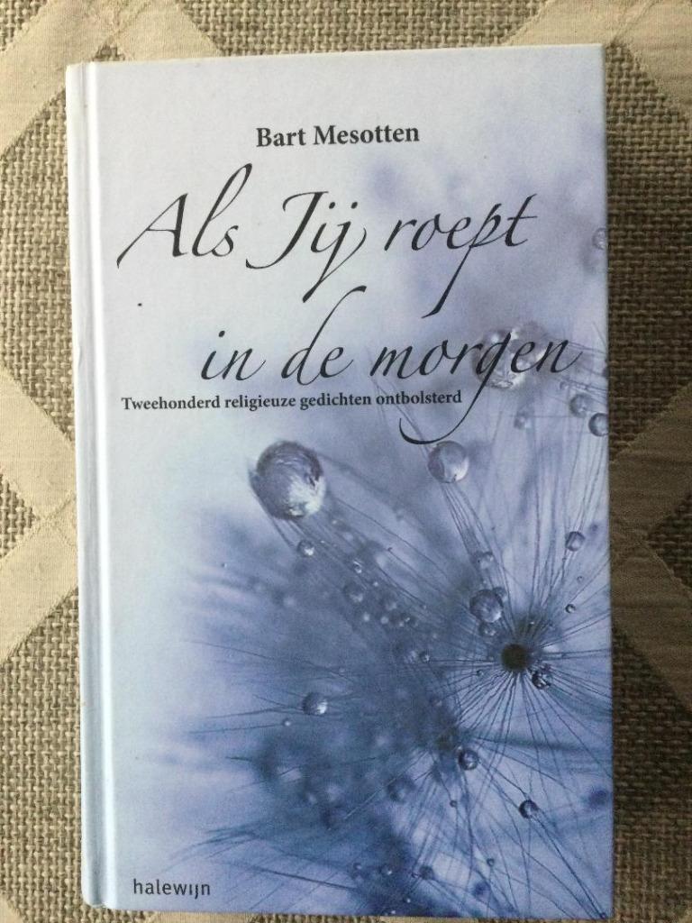 Als Jij roept in de morgen, Boeken, Nieuw, Ophalen of Verzenden, Eén auteur, Bart Mesotten