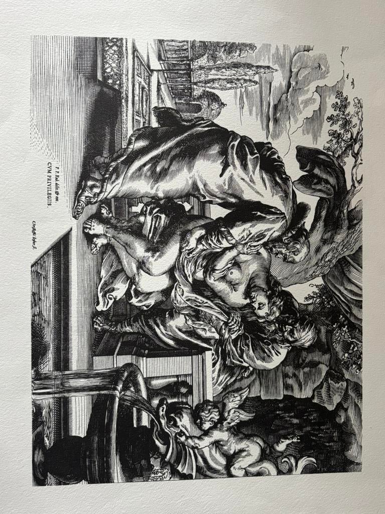 RUBENS DE DWAAS DIE GOED ADVIES VRAAGT, Antiek en Kunst, Ophalen of Verzenden