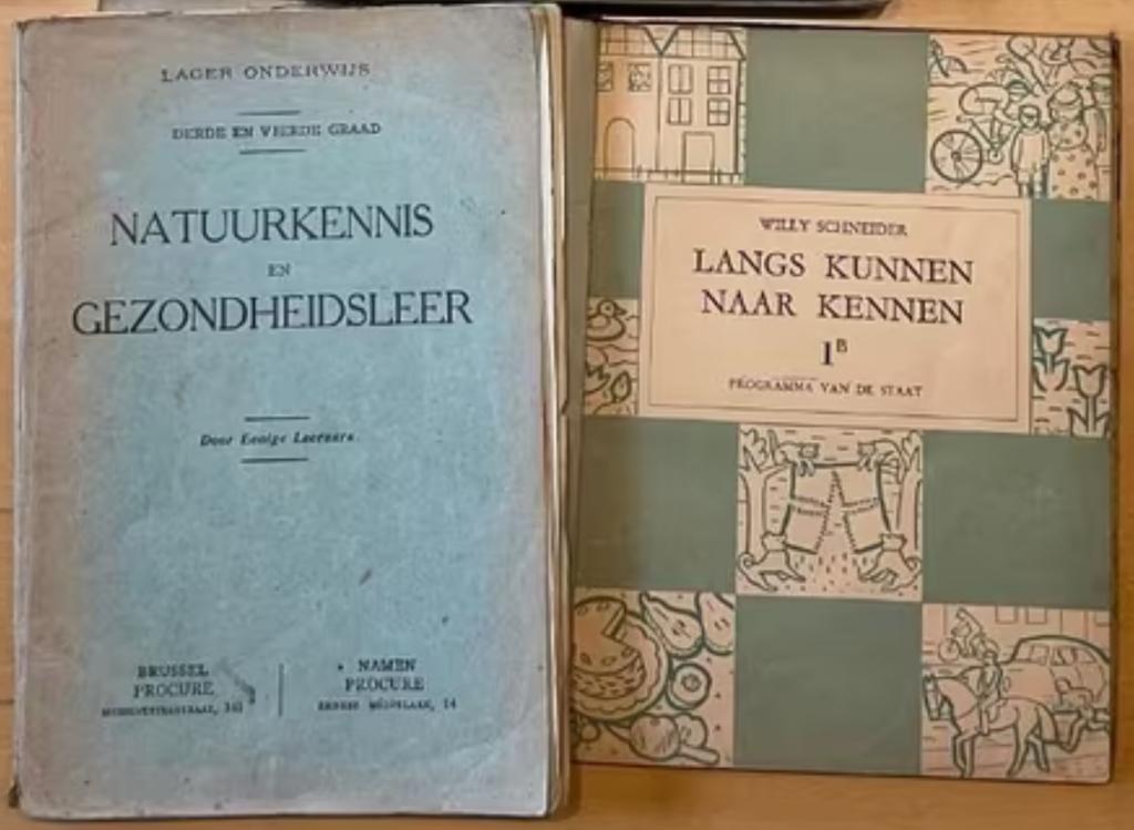 Oude leerboeken lager en middelbaar onderwijs, Boeken, Ophalen of Verzenden, Gelezen, Overige vakken