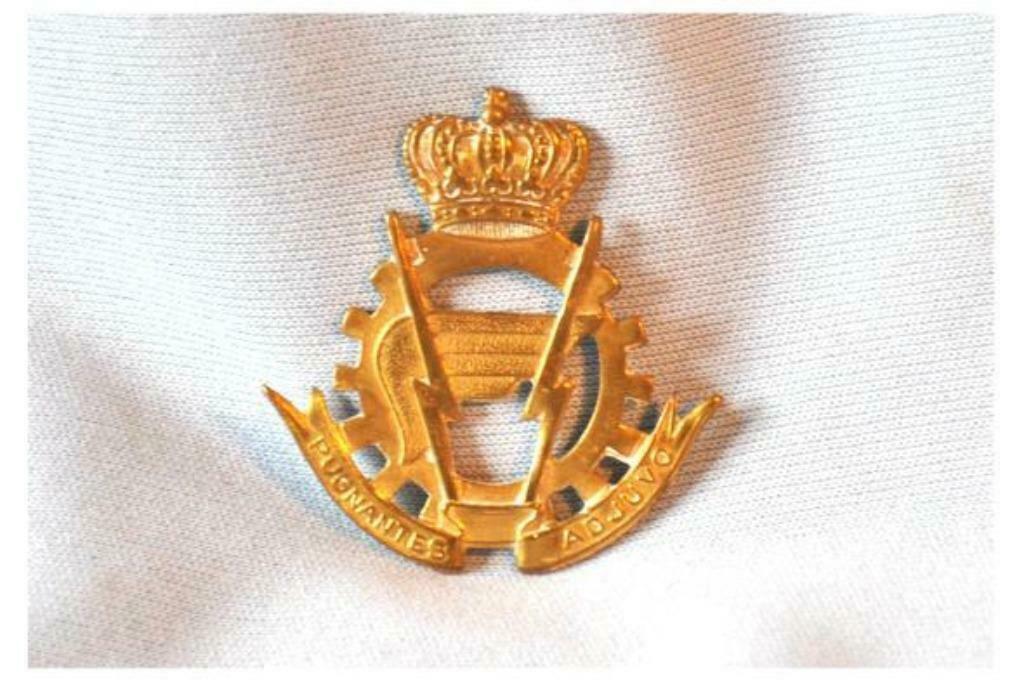 § badge militaire belge "logistique ", Ophalen of Verzenden, Overige soorten, Embleem of Badge