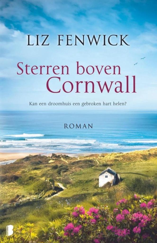 Boeken deel 2 / keuze uit 19 romans, Boeken, Romans, Gelezen, Ophalen of Verzenden