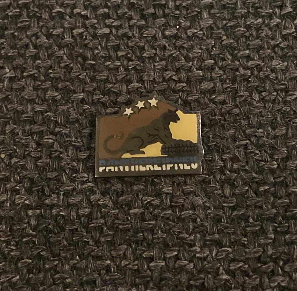 PIN - PANTHERE PNEU - AUTOMOBILE, Collections, Envoi, Utilisé, Transport, Insigne ou Pin's