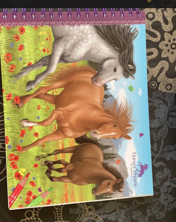Cahier à dessin Creative Studio : chevaux, Enlèvement ou Envoi, Neuf