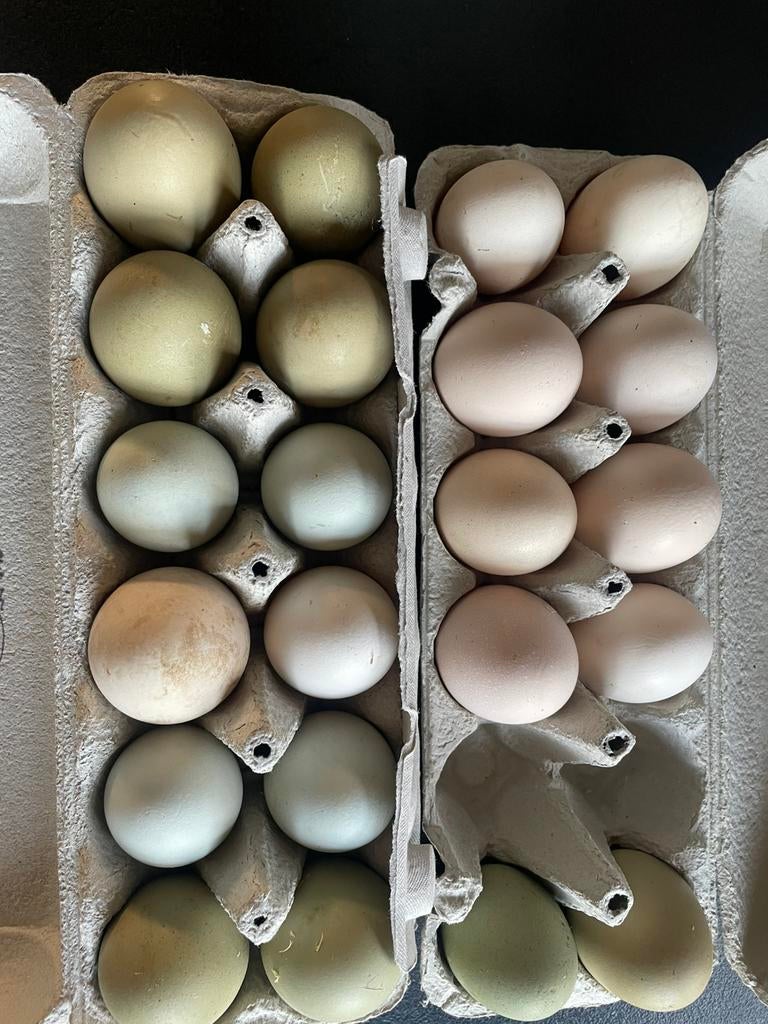 Œufs frais de poules élevées en liberté, Divers, Enlèvement