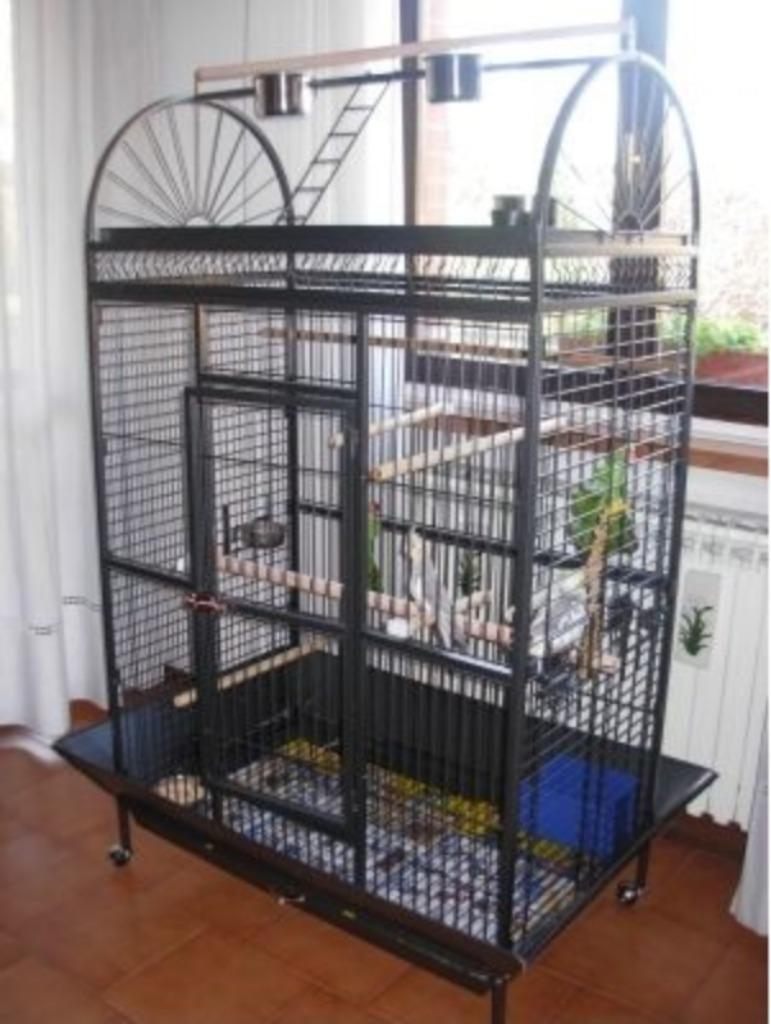 Cage perroquet XXL ARA cage cacatoes cage amazone gris gabon, Envoi, Neuf, Métal, Volière