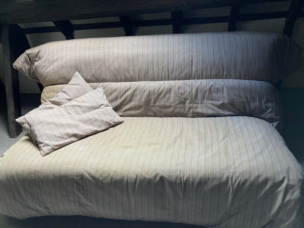 Zetelbed/slaapbank ligne roset, Ophalen, Gebruikt, Overige kleuren, Tweepersoons