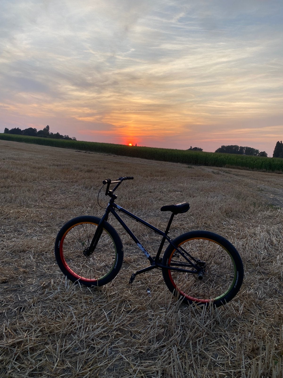 Wheelie bike medusa, Ophalen, 24 inch of meer, Stuur 360° draaibaar, Zo goed als nieuw
