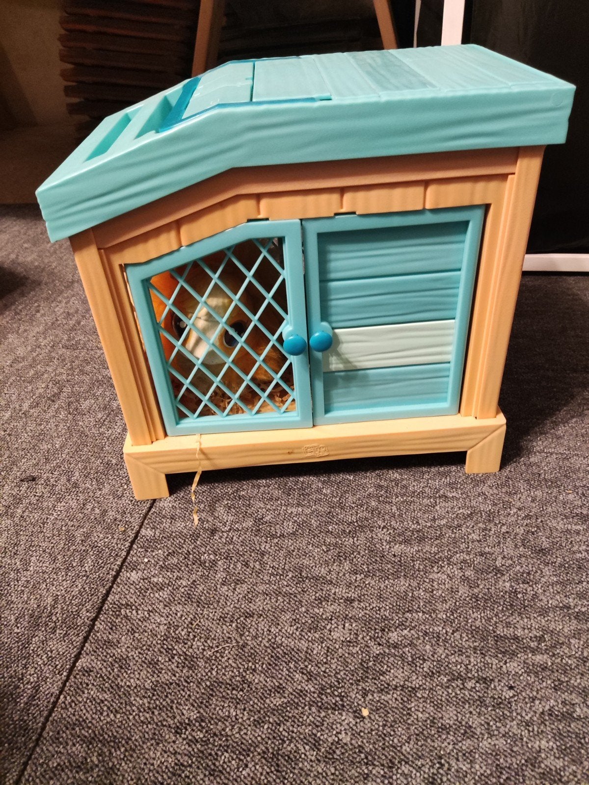 Speelgoed cavia's en speelgoedcaviahok (met licht en geluid), Ophalen, Met licht
